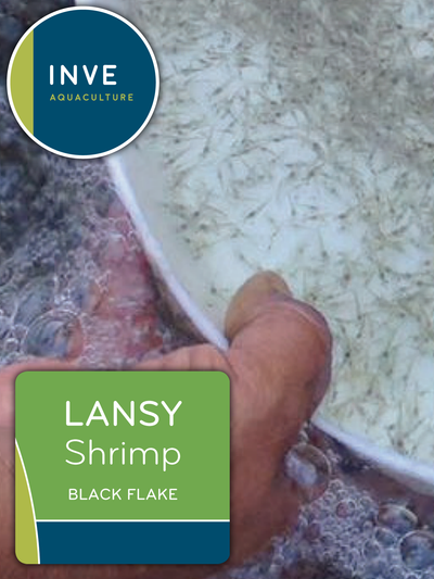 Inve Lansy Shrimp Black Flake