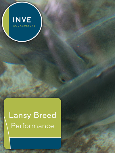 Inve Lansy Breed Performance