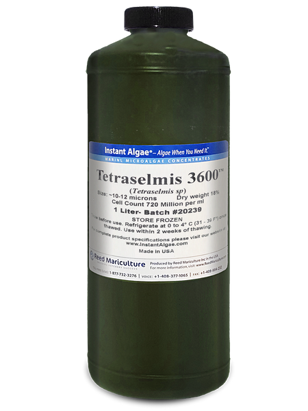 TET 3600™ - Frozen Tetraselmis – Reed Mariculture