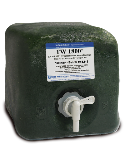 TW 1800