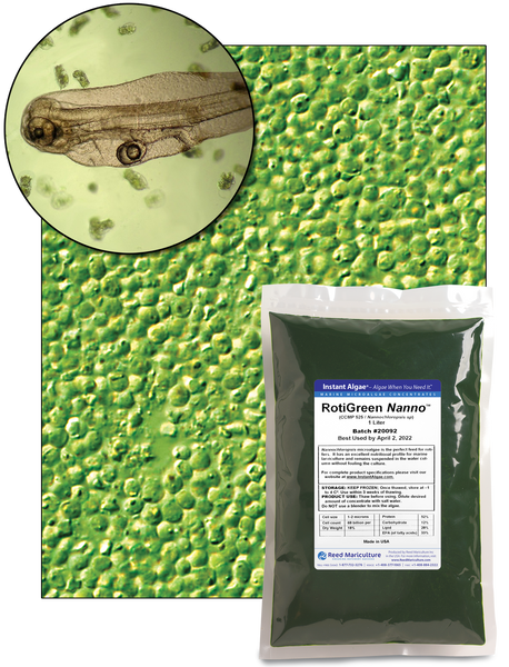 Nanokon★リサージ nanoblock（ナノブロック）ポケモン リザードン デラックス | Toys”R