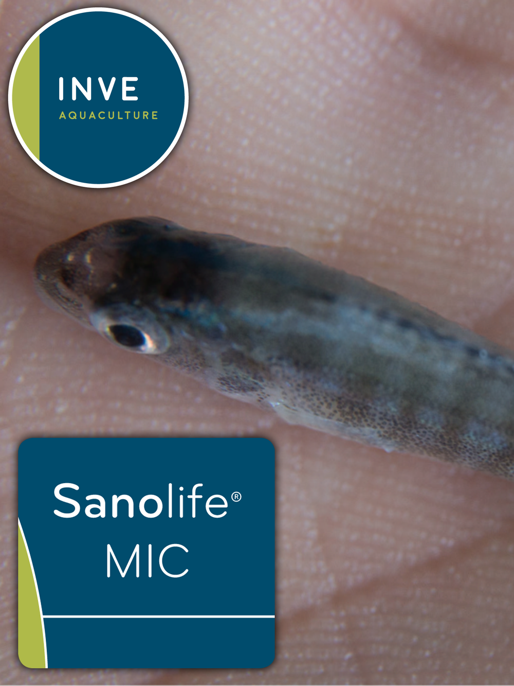 INVE Sanolife MIC-F