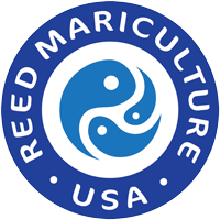 Reed Mariculture