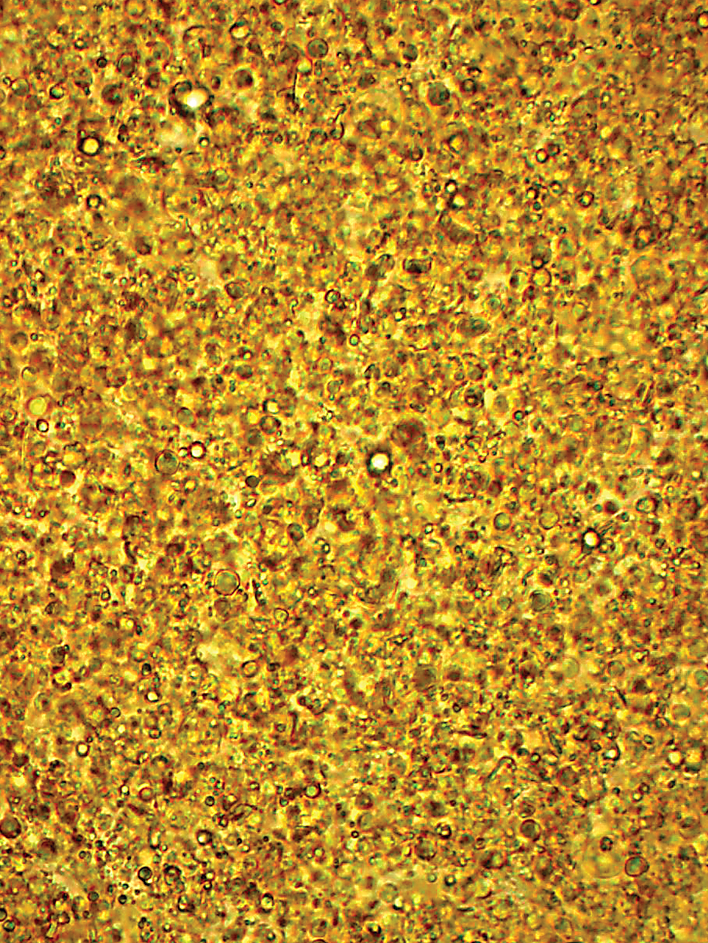 N-RICH® PL PLUS PARENT