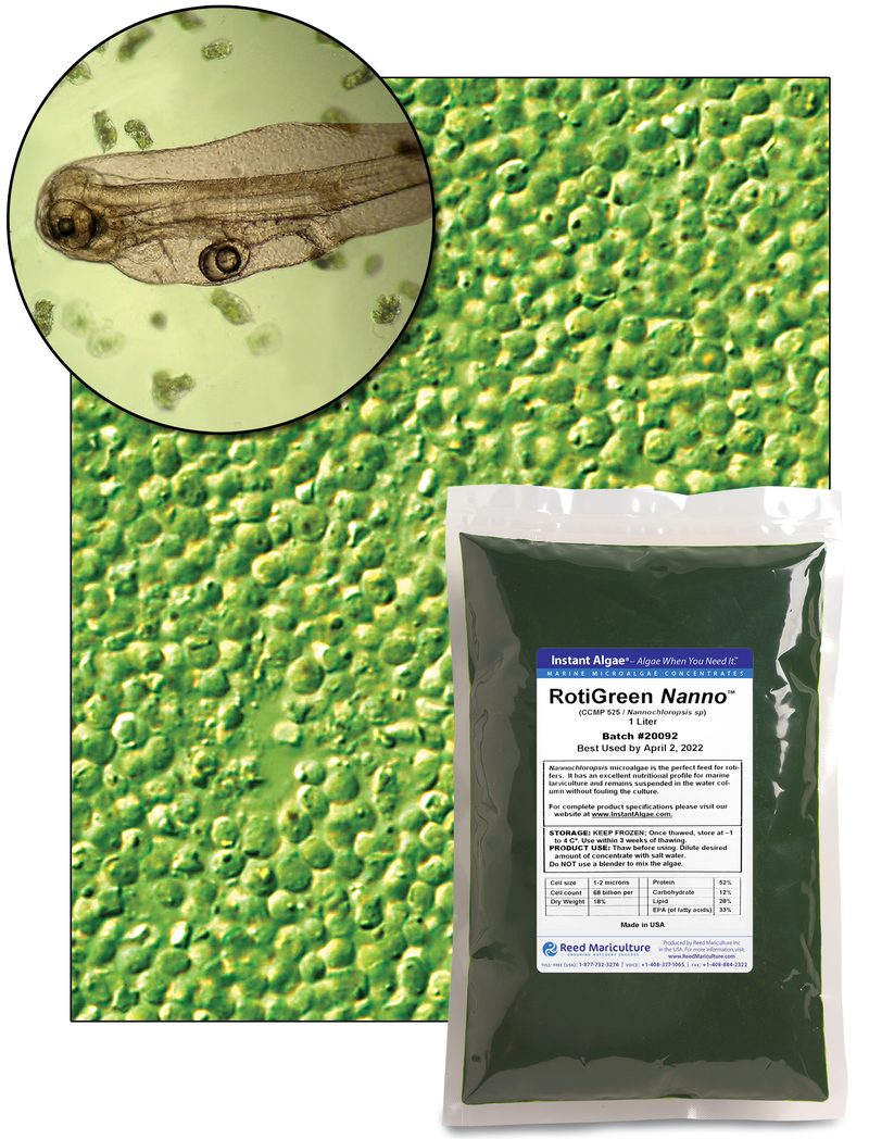 NANA グリーンXS ROTIGREEN NANNO - Nannochloropsis – Reed Mariculture